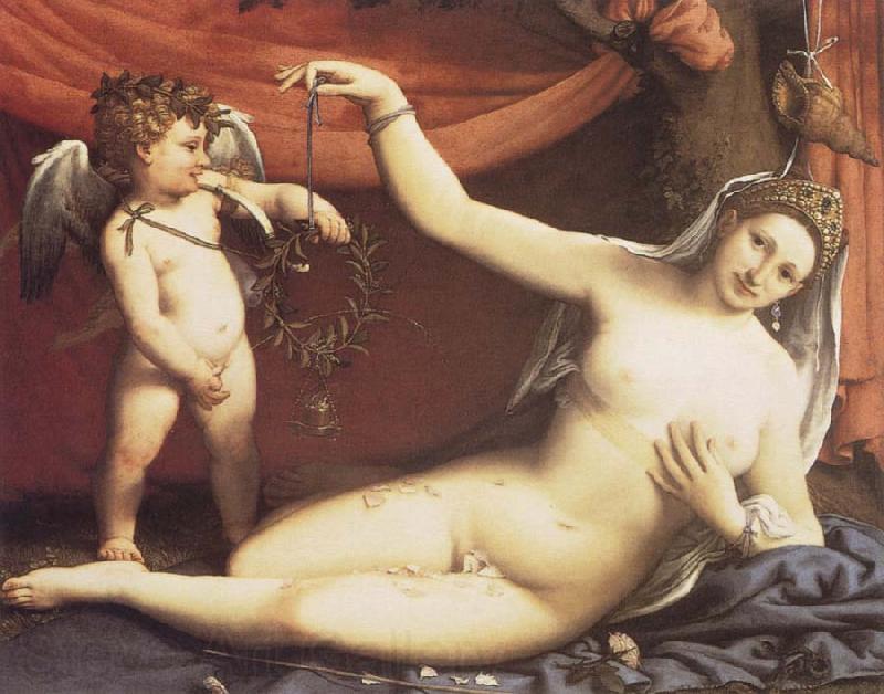 Lorenzo Lotto Venus and Cupid Spain oil painting art